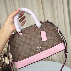 NWT coach mini sierra